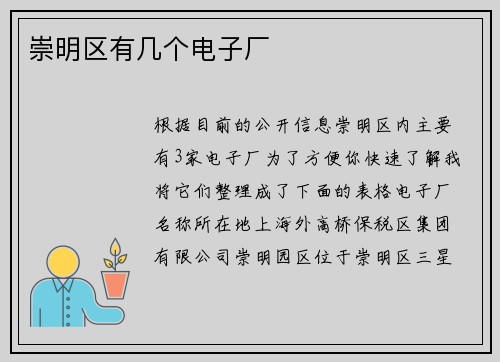 崇明区有几个电子厂